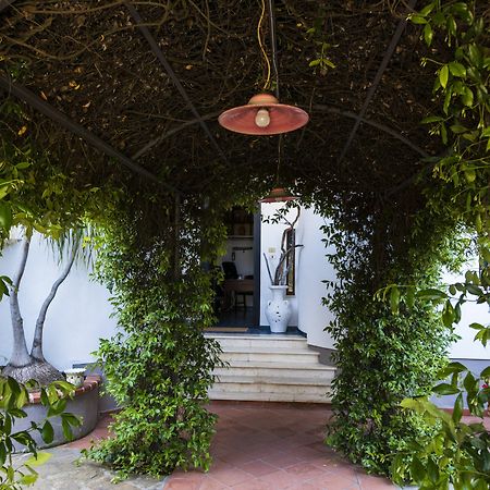 Villa Gio B&B De Charme Montecorice Esterno foto