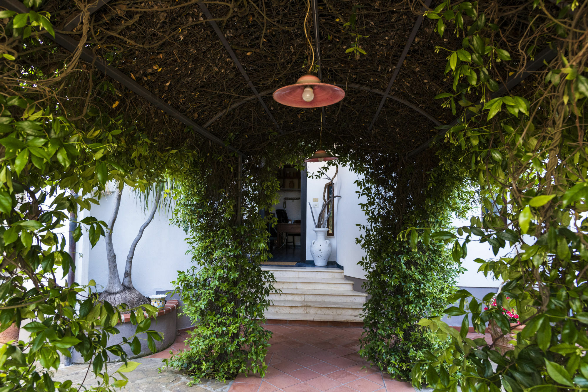 Villa Gio B&B De Charme Montecorice Esterno foto